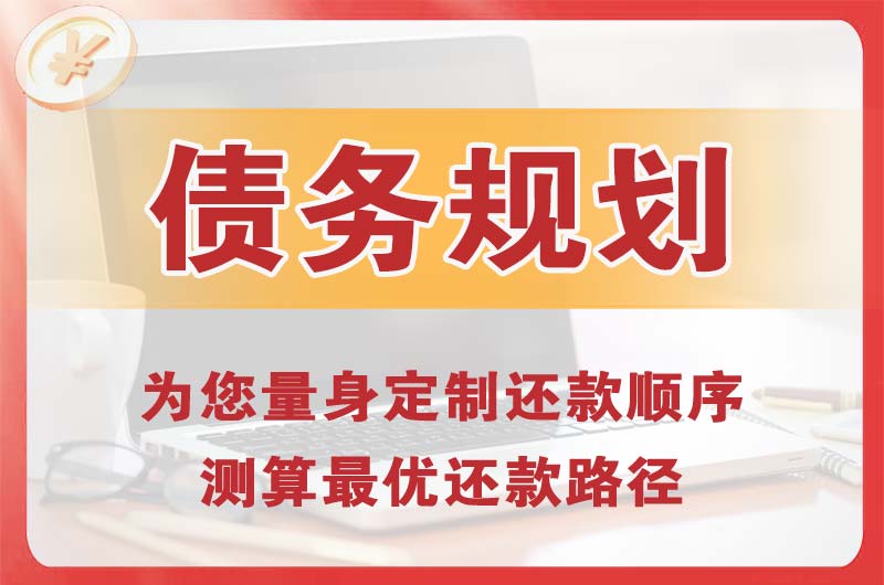 池州债务规划